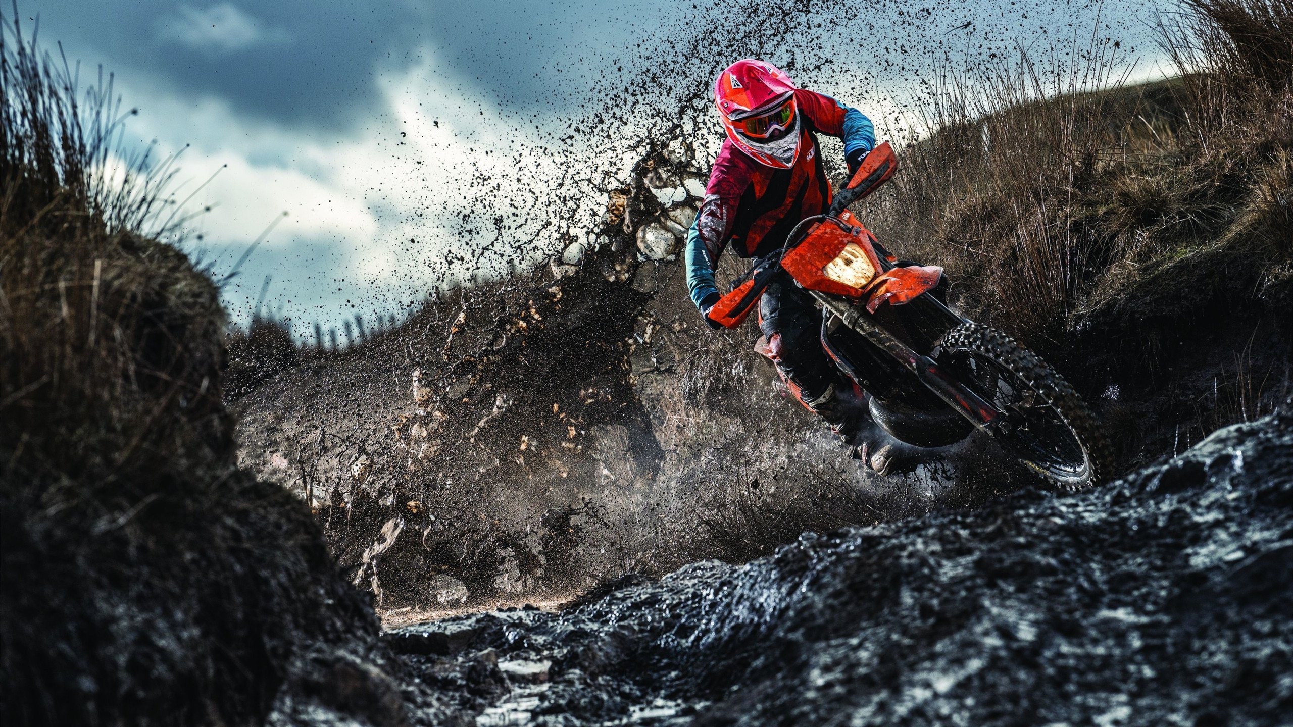 AC Milan官方APP下载-女子泳将赛后含泪致谢团队，女子游泳重赛结果